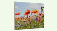 Photo sur bois Pixum Tableau photo sur bois avec une image de fleurs
