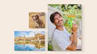 Photo sur bois en divers formats Trois tableaux photo en bois accrochés à un mur beige avec des photos de paysage, de chien et d'un homme